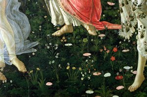 Primavera (dettaglio dei fiori)