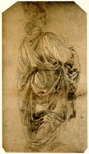 Studio di un giovane uomo