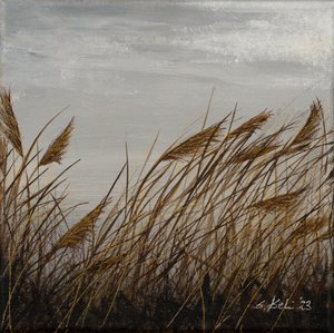  da Sandy Iseli