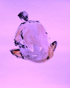 Studio di figure astratte