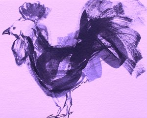 Gallo viola espressivo da Santhosh ch
