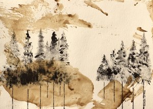 Serenità del bosco da Santhosh ch