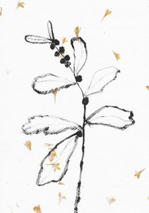 Schizzo botanico minimalista da Santhosh ch