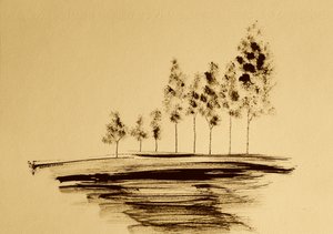 Sereno riflesso di albero da Santhosh ch