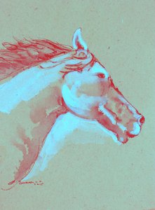 Testa di cavallo dai colori vivaci da Santhosh ch