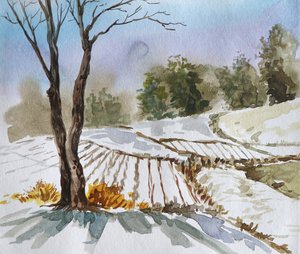 Paesaggio invernale in campagna