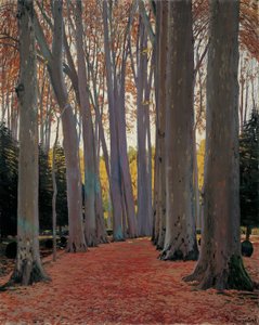 Viale di platani