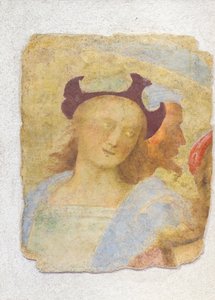 Giovane uomo da Sanzio of Urbino (attr. to) Raphael