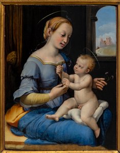 Madonna dei Garofani da Sanzio of Urbino (workshop) Raphael