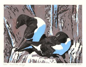Razorbill Ledge, 2014 (Linocut) da Sarah Drummond