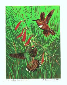 Rufus Pas de Deux, 2016 (Linocut)