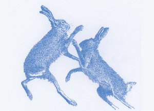 Lepri che boxano, 2017