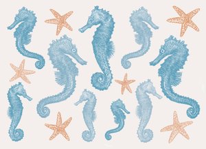 Cavallucci Marini e Stelle Marine, 2017 da Sarah Hough