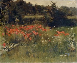 Papaveri, Reigate da Sarah Paxton Ball Dodson