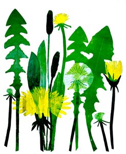 Dandelions, 2024 (olio su tavola)
