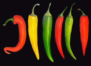Cinque peperoncini, 2024 (olio su tela)