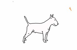 Bull Terrier da Sarah Thompson Engels