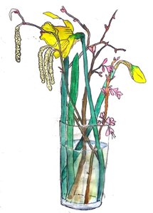 Narcisi da Sarah Thompson Engels