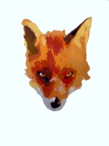 Volto di Volpe