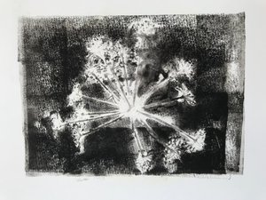 Testa di seme II, 2020 da Sarah Thompson Engels