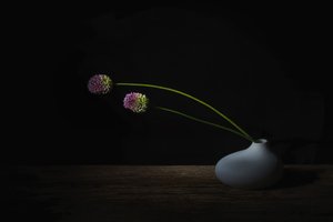  da Saskia Dingemans