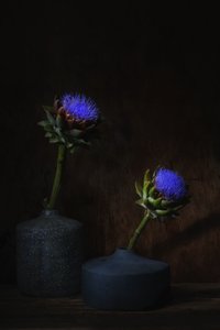  da Saskia Dingemans
