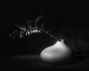  da Saskia Dingemans