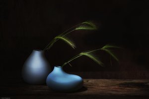  da Saskia Dingemans