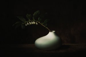  da Saskia Dingemans