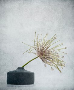 da Saskia Dingemans