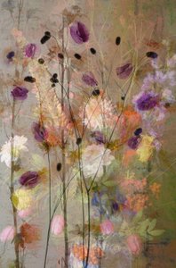  da Saskia Dingemans