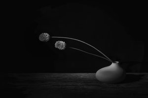  da Saskia Dingemans