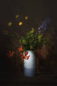  da Saskia Dingemans