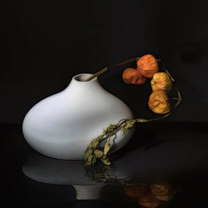  da Saskia Dingemans