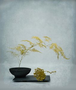  da Saskia Dingemans