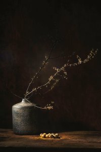  da Saskia Dingemans