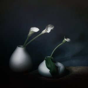  da Saskia Dingemans