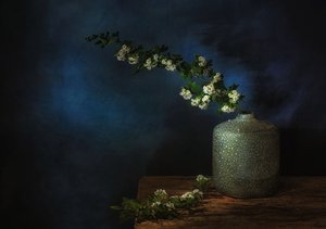  da Saskia Dingemans