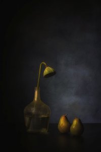  da Saskia Dingemans