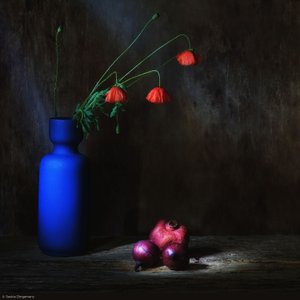  da Saskia Dingemans