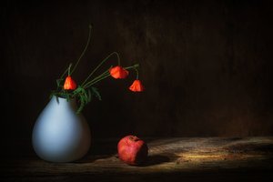  da Saskia Dingemans