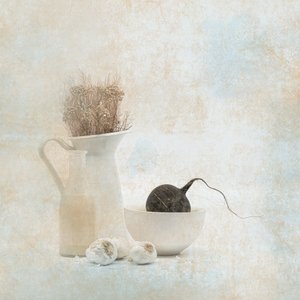  da Saskia Dingemans