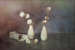  da Saskia Dingemans