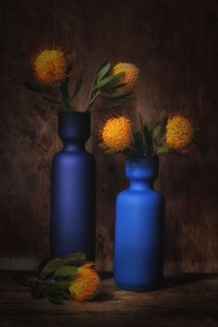  da Saskia Dingemans