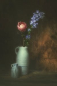  da Saskia Dingemans