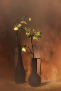  da Saskia Dingemans