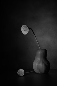  da Saskia Dingemans