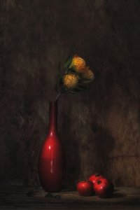  da Saskia Dingemans
