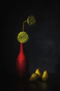  da Saskia Dingemans