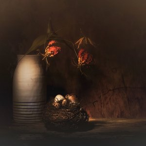  da Saskia Dingemans